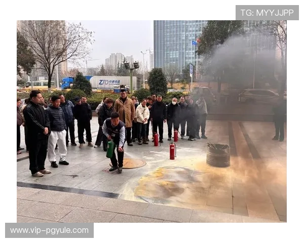 如何便捷查询凯发体育官网平台网址确保安全登录体验全攻略